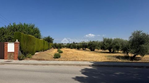 Terrenos en venta en Úbeda, immagine 4