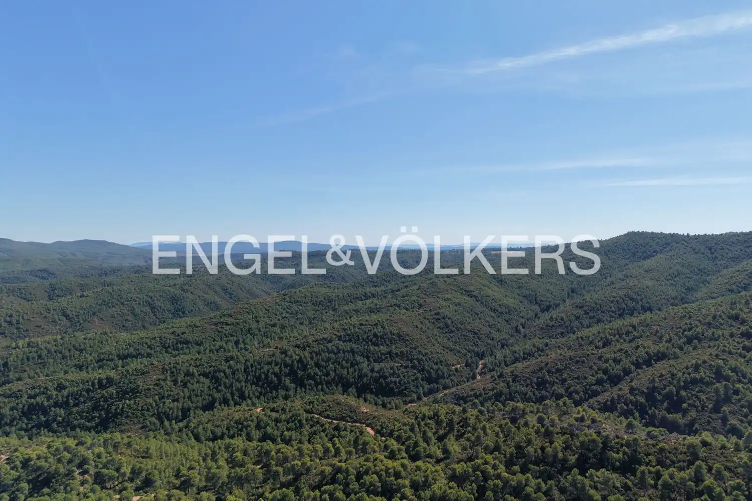 Terrain rustique à vendre à Requena, imagen 43