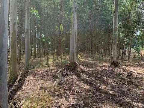 Terreno en venta en Outeiro de Rei