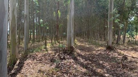 Foto 4 de Terreno en venta en Lugar Meidonin, 14a, Outeiro de Rei, Lugo
