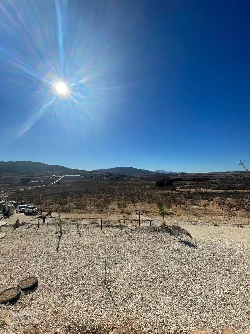 Wohnbaugrundstück zum Verkauf in El Pinós / Pinoso, imagen 20