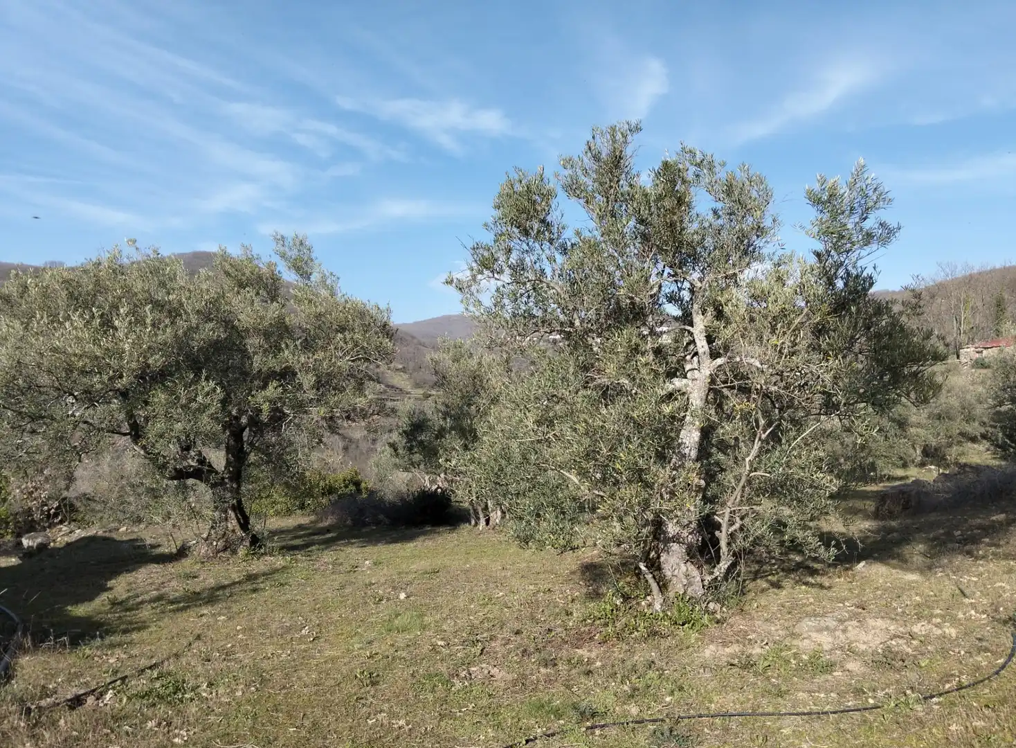 Terreno en venta en Barrado