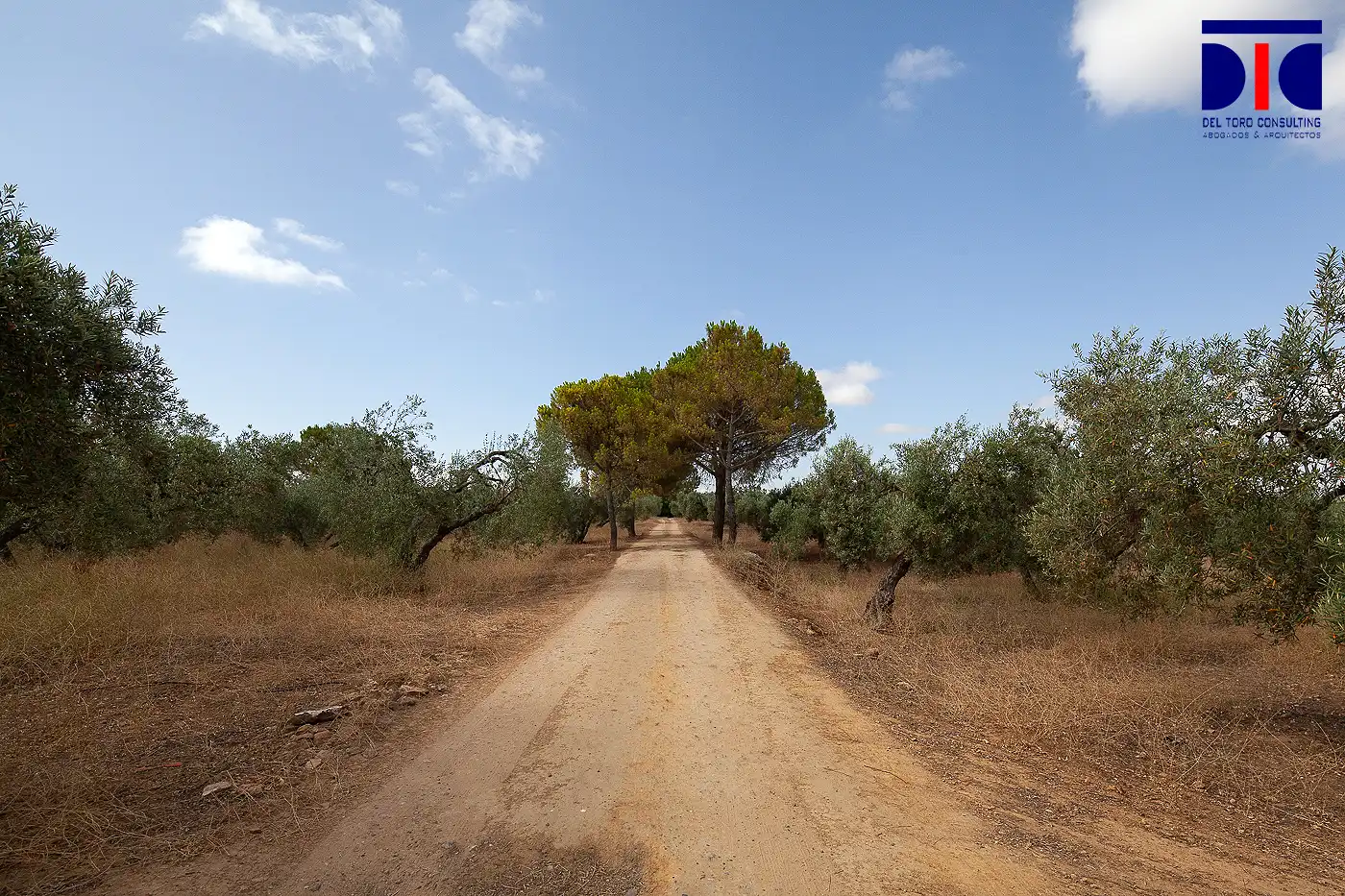 Vista exterior de Finca rústica en venta en Carmona con Jardín privado, Terraza y Piscina