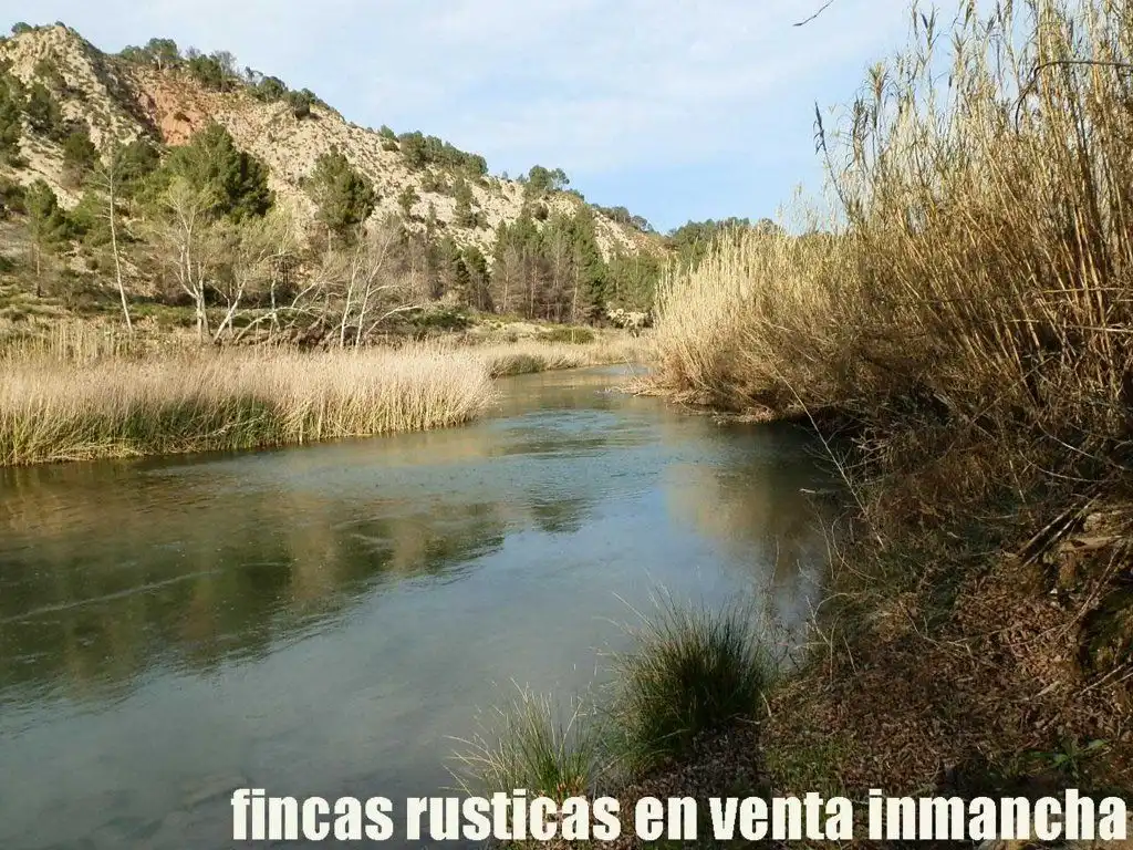 Rural land for sale in Requena