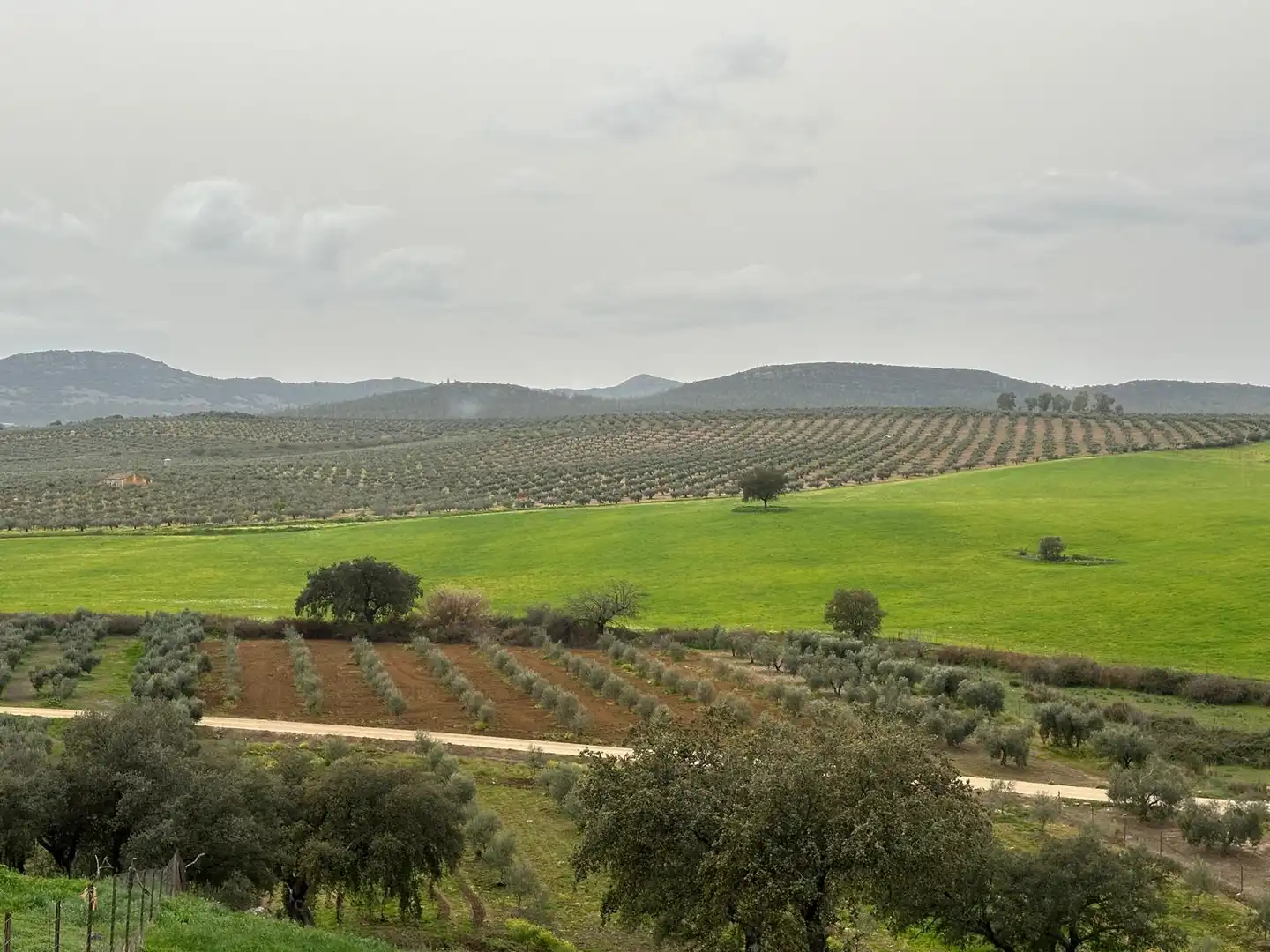 Finca rústica en venta en Oliva de Mérida