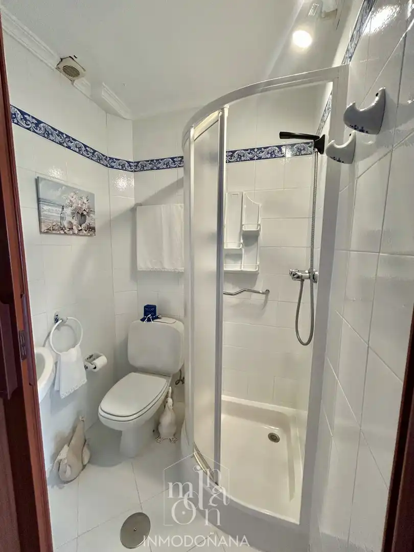 Wohnung mit Pool zum Verkauf in Matalascañas, imagen 26