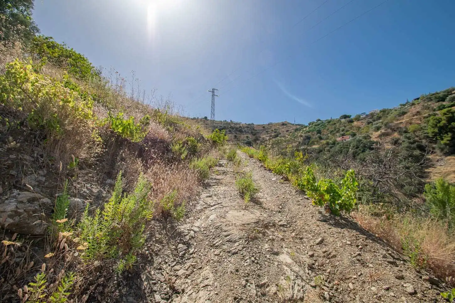 Rustikales Grundstück zum Verkauf in Torrox Pueblo, imagen 8