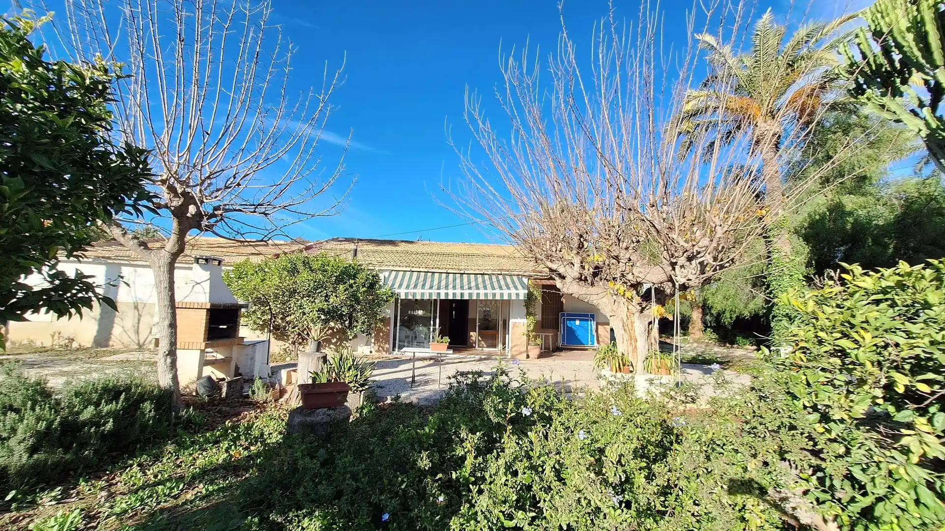 Vista exterior de Casa o xalet en venda en Elche / Elx amb Terrassa