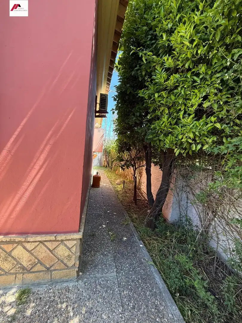 Vista exterior de Casa o chalet en venta en El Puerto de Santa María con Jardín privado y Trastero
