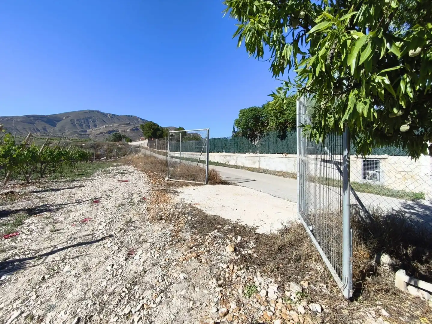 Terreno rústico en venta en Monforte del Cid - Paraje la Serreta, imagen 6