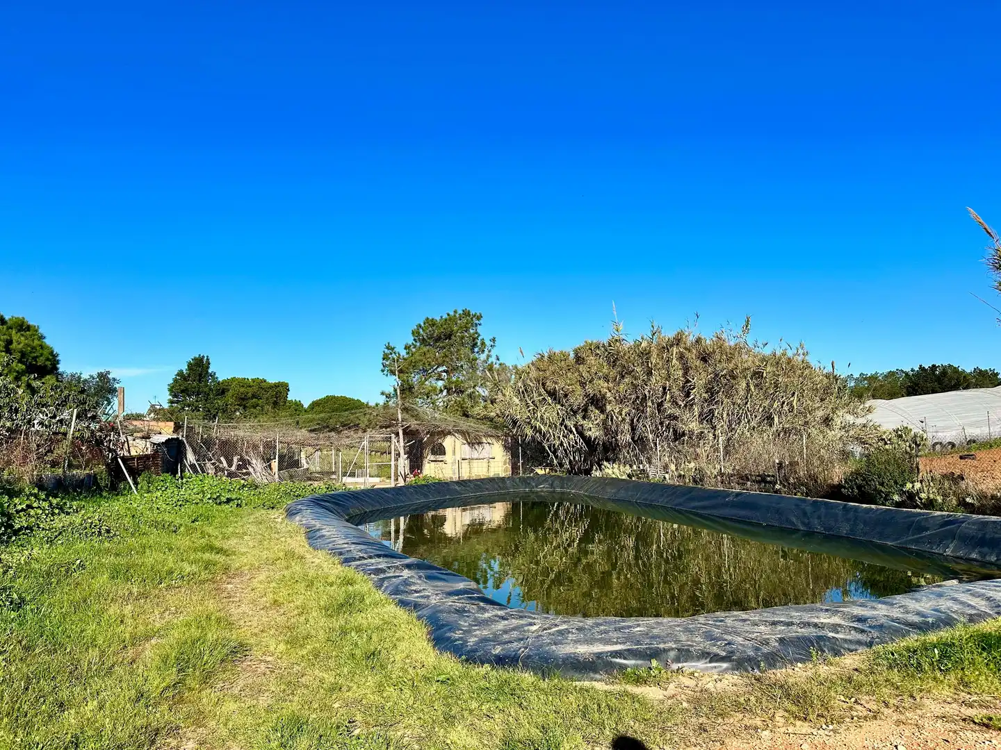 Piscina de Casa o chalet en venta en Villablanca con Aire acondicionado y Terraza
