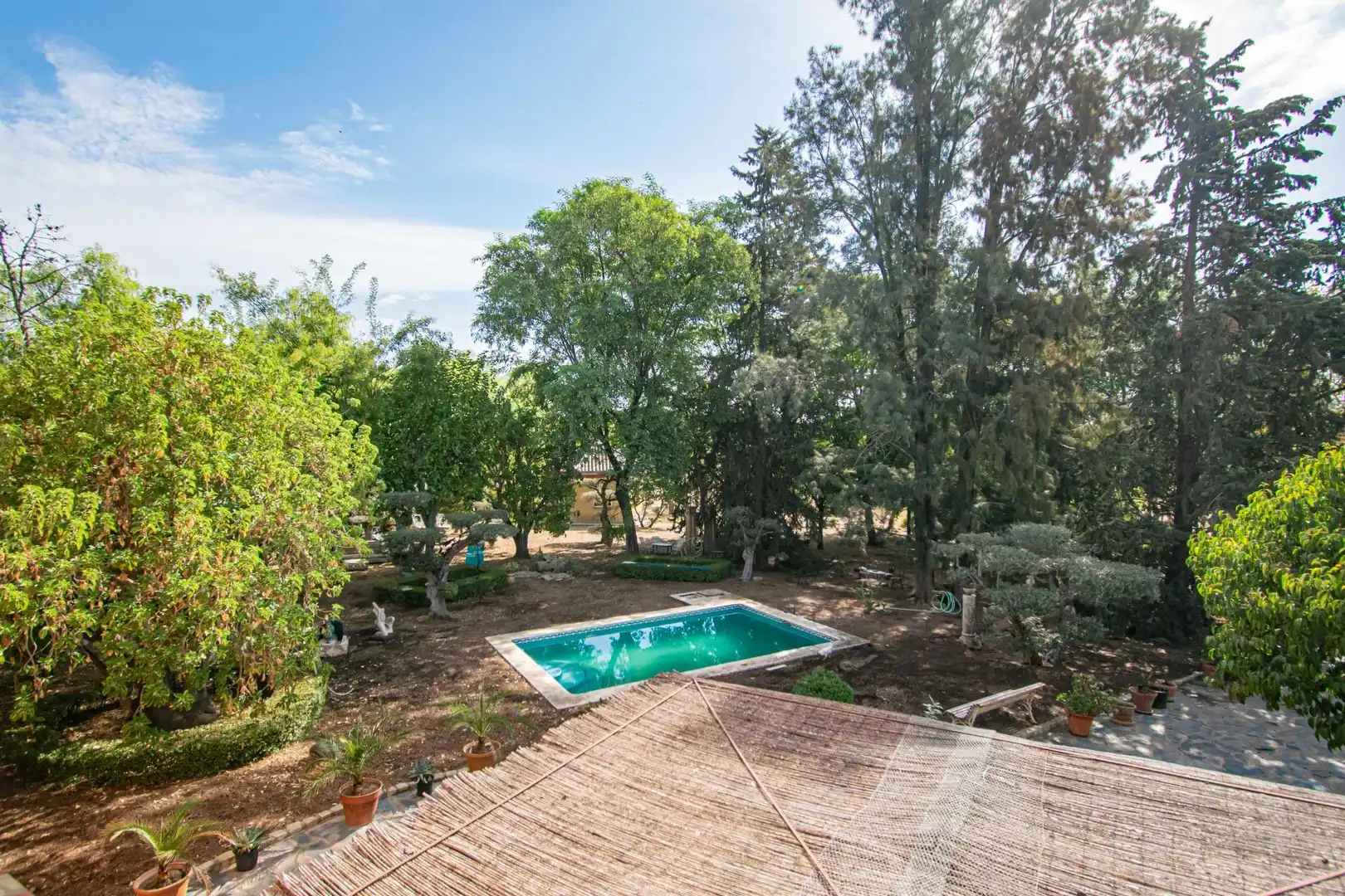 Garten von Country house zum Verkauf in Mairena del Aljarafe mit Terrasse, Schwimmbad und Balkon