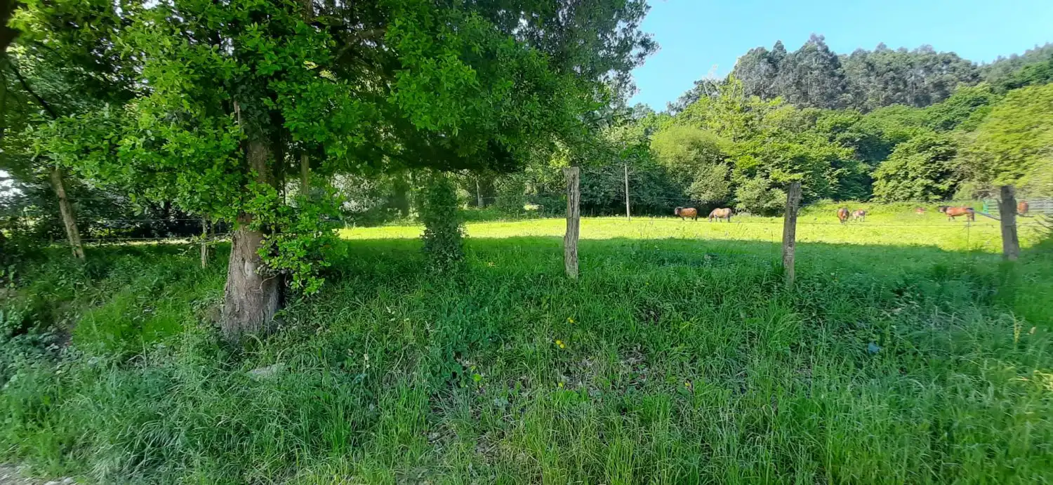 Residencial en venta en Escalante