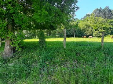 Terreno residencial en venta en Los Palacios 10