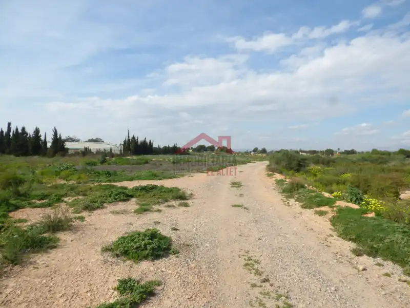 Residencial en venta en Elche / Elx