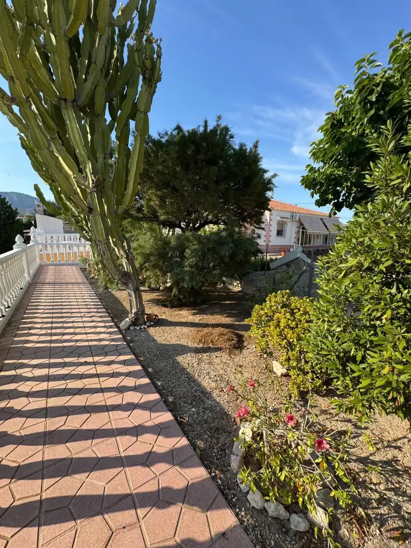 Maison avec piscine à vendre à Albatera, imagen 4