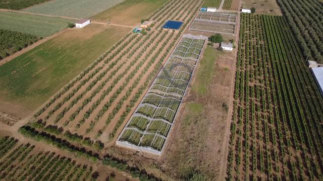 Terreno residencial en Venta en Arenal - La Pólvora