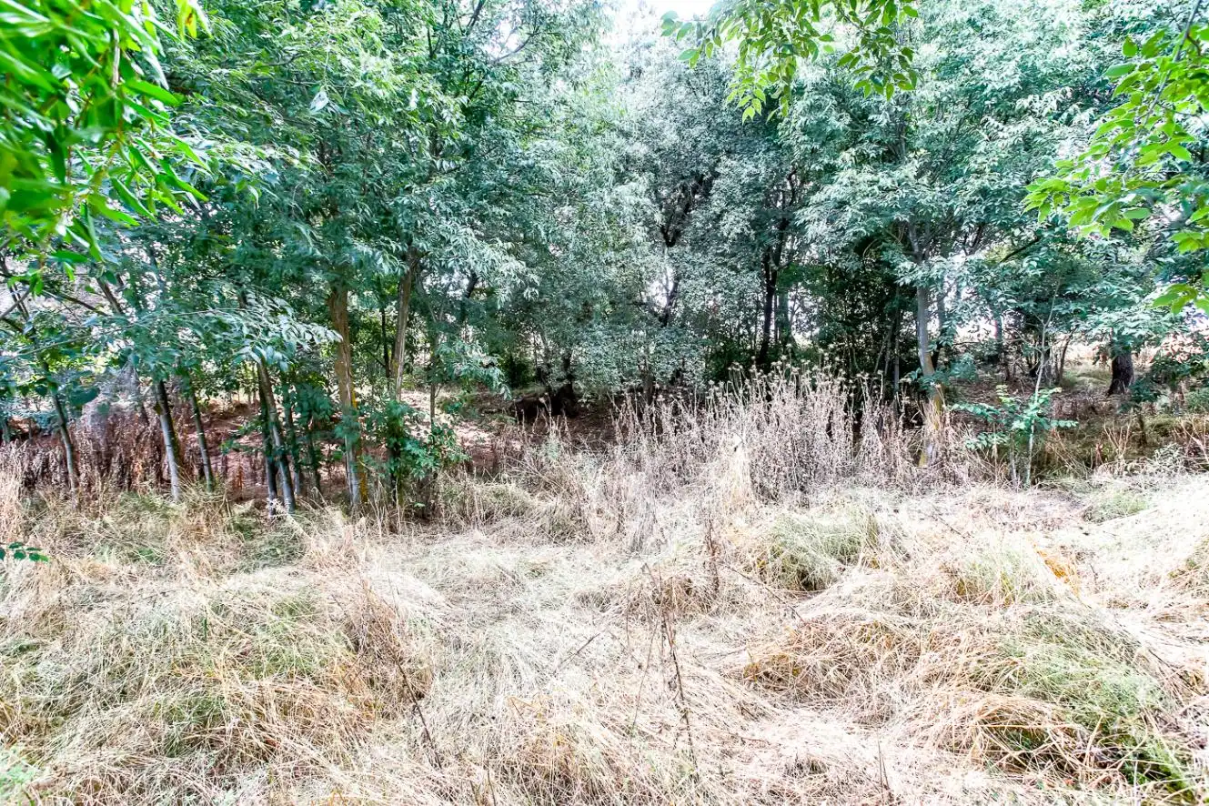 Finca rústica en venda en Cardedeu