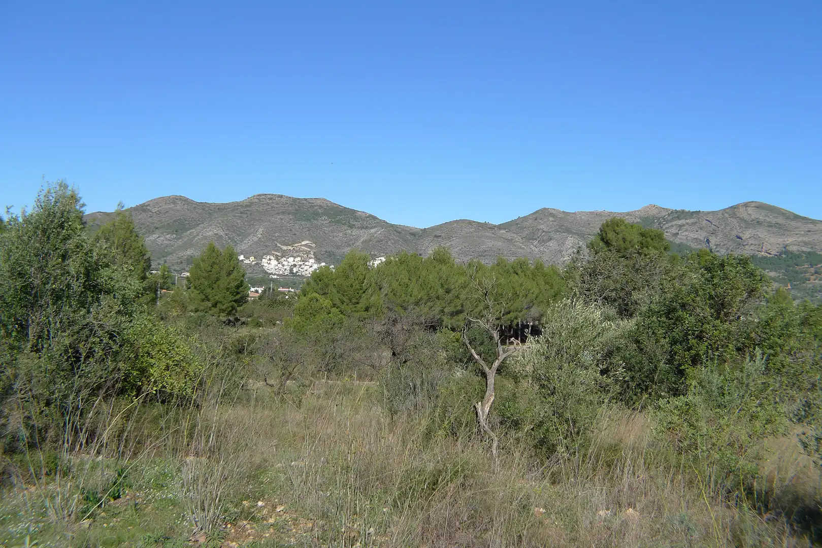 Terreny residencial en venda a Xaló, imagen 9