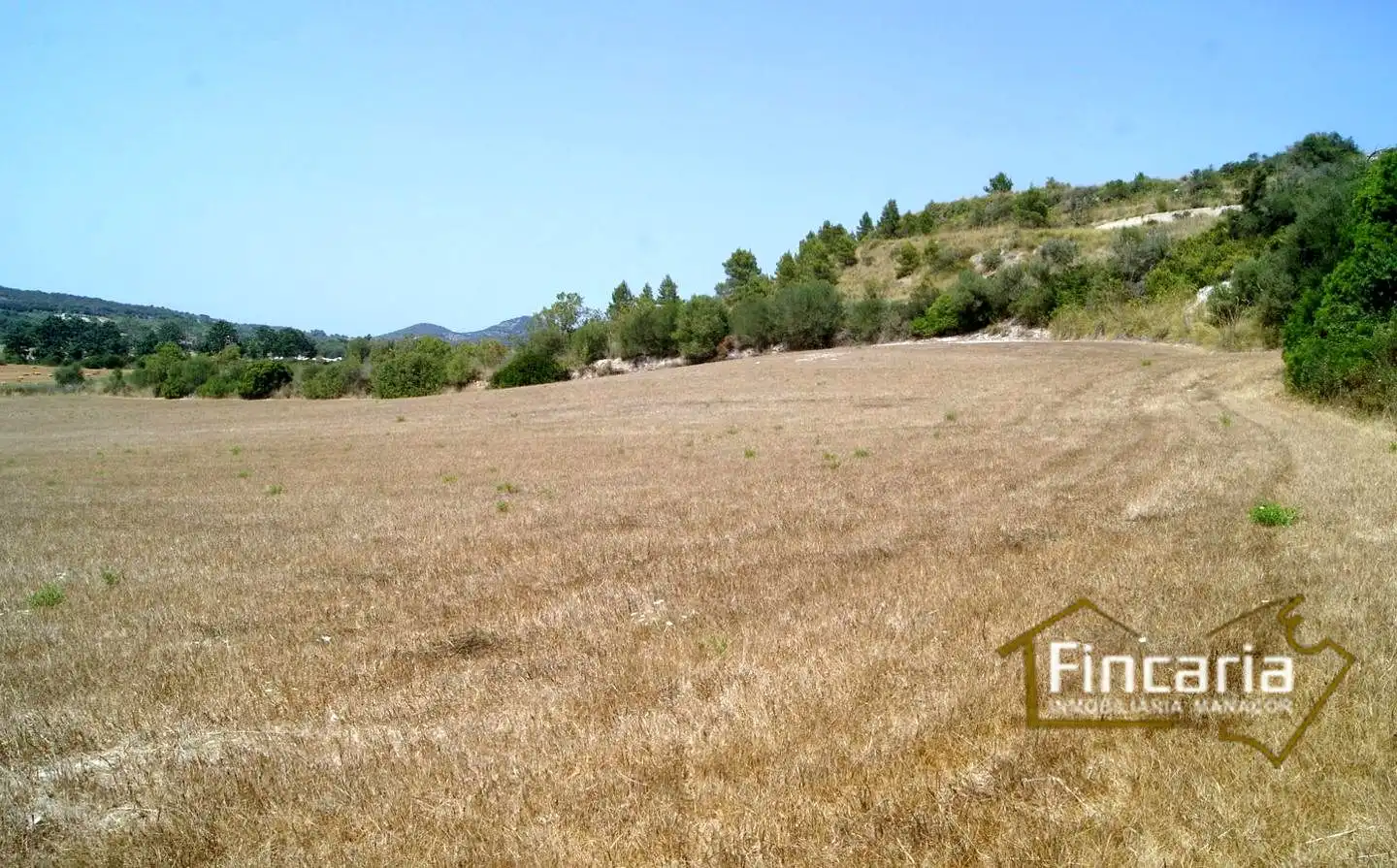 Terrenys i solars en venda a Camí de sa Murtera, imagen 11