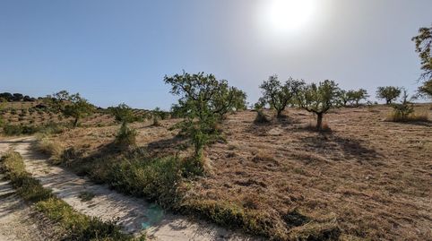 Se ponen en venta 25834, para construir en pleno pueblo de Jayena, immagine 5