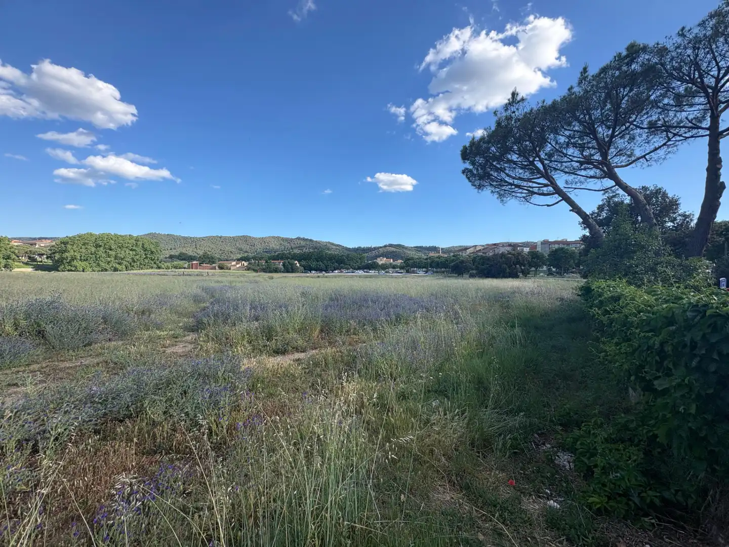 Rural land for sale in Llinars del Vallès, imagen 3