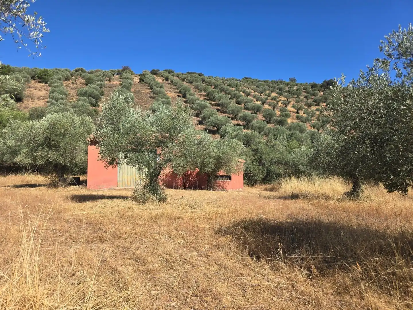 Finca rústica en venda a Belvís de la Jara