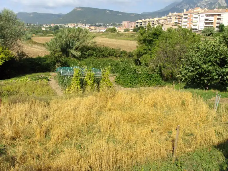 Terreno rustico in vendita a Ctra de Sant Fruitós de Bages, imagen 12