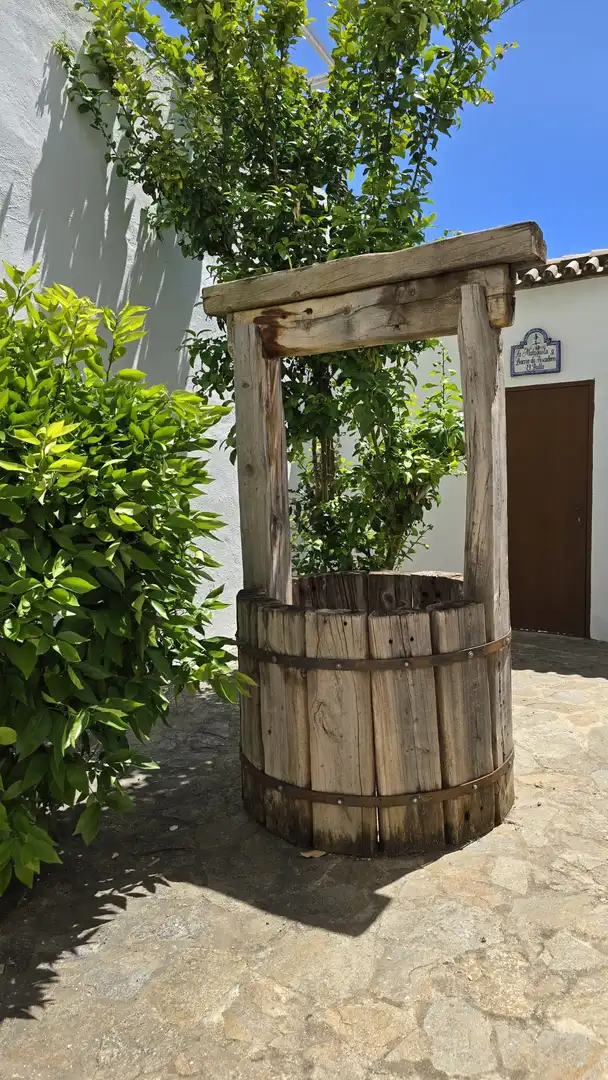 Jardí de Casa adosada en venda en Marbella amb Jardí privat, Terrassa i Traster