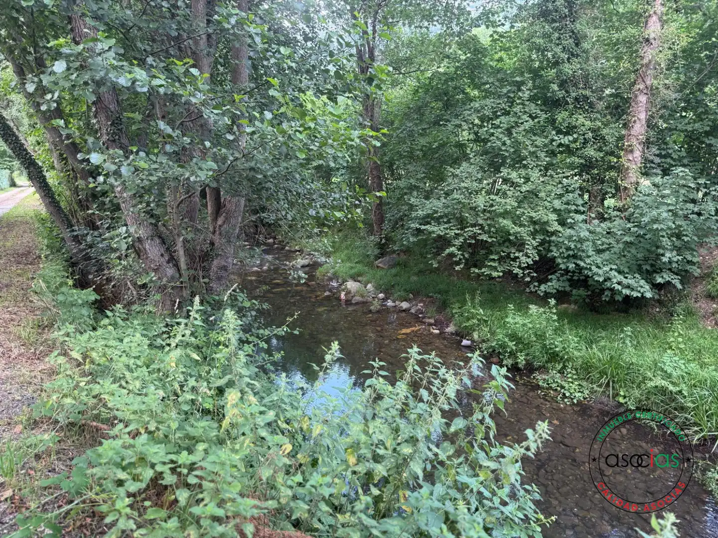 Land for sale in Quirós