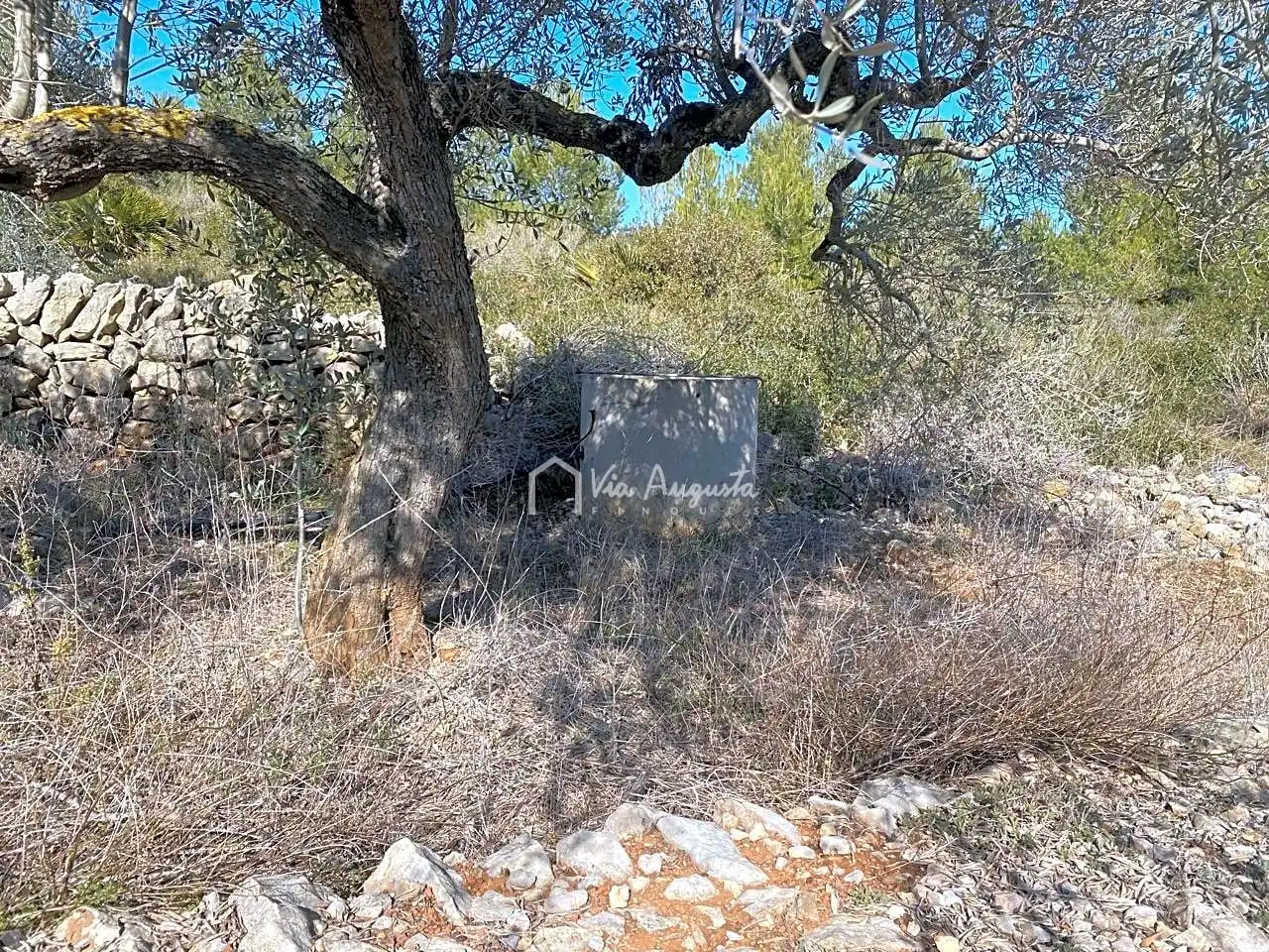 Terrain rustique à vendre à Calobres, imagen 13