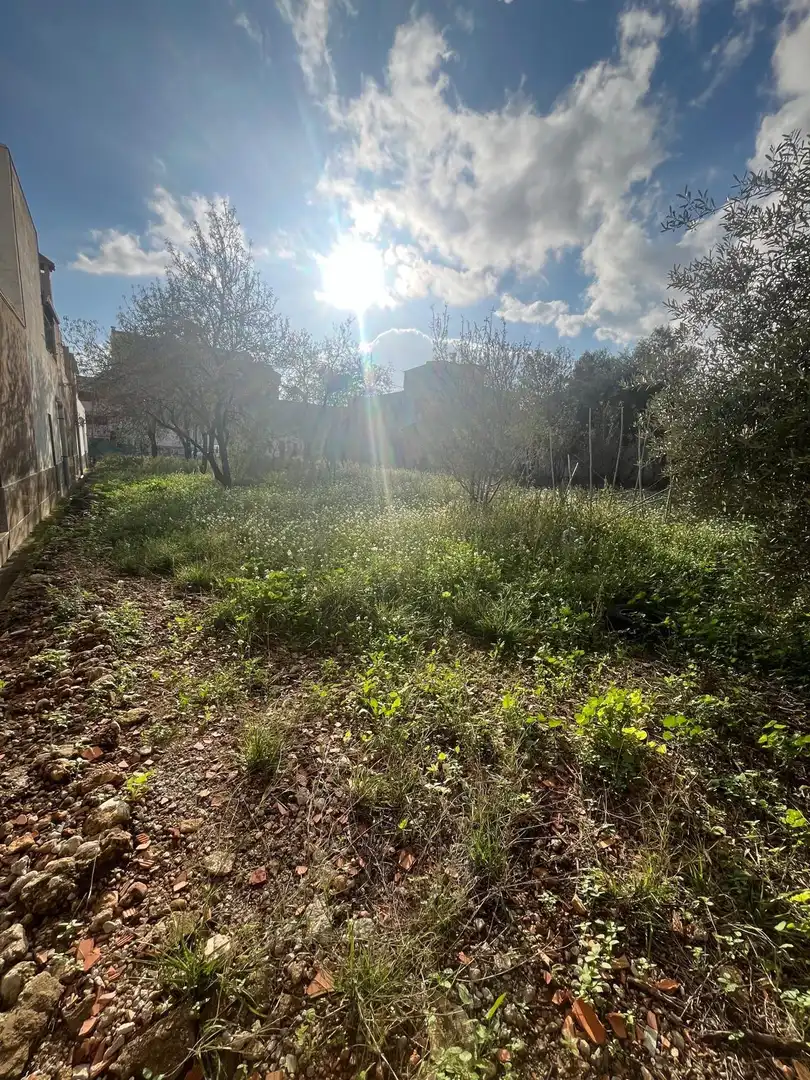 Terreny residencial en venda a Oeste, imagen 20