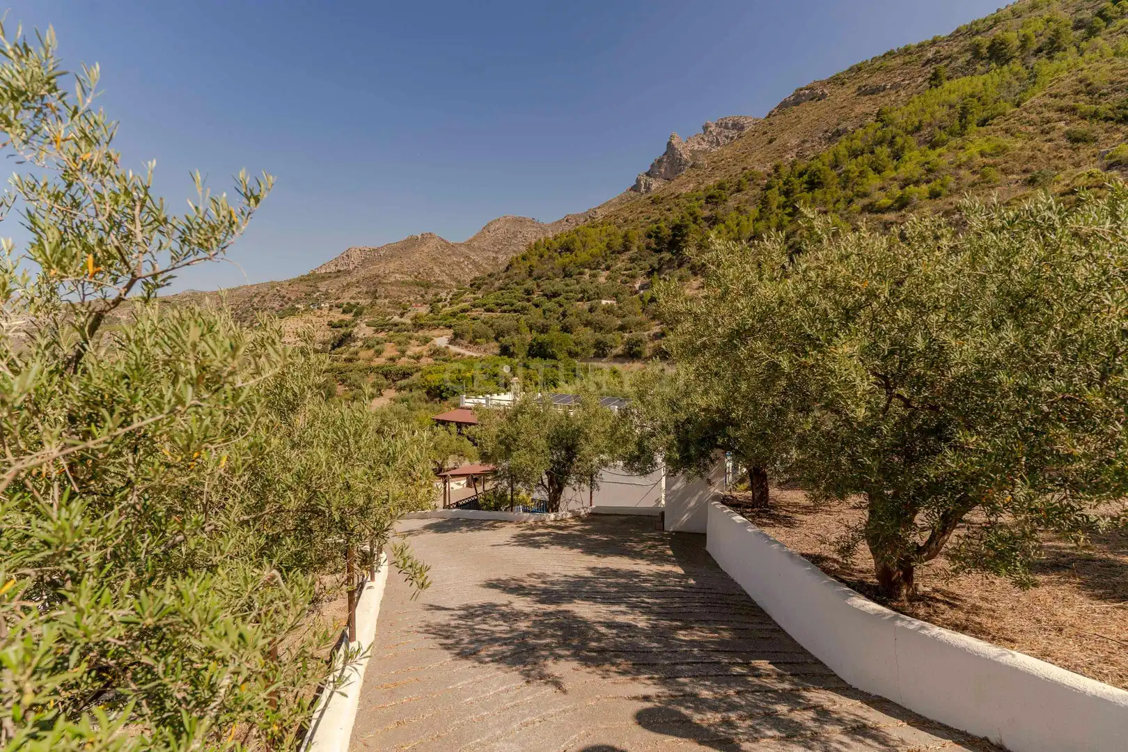 Exterior view of Houses for sale in Ítrabo  with Furnished and Jacuzzi