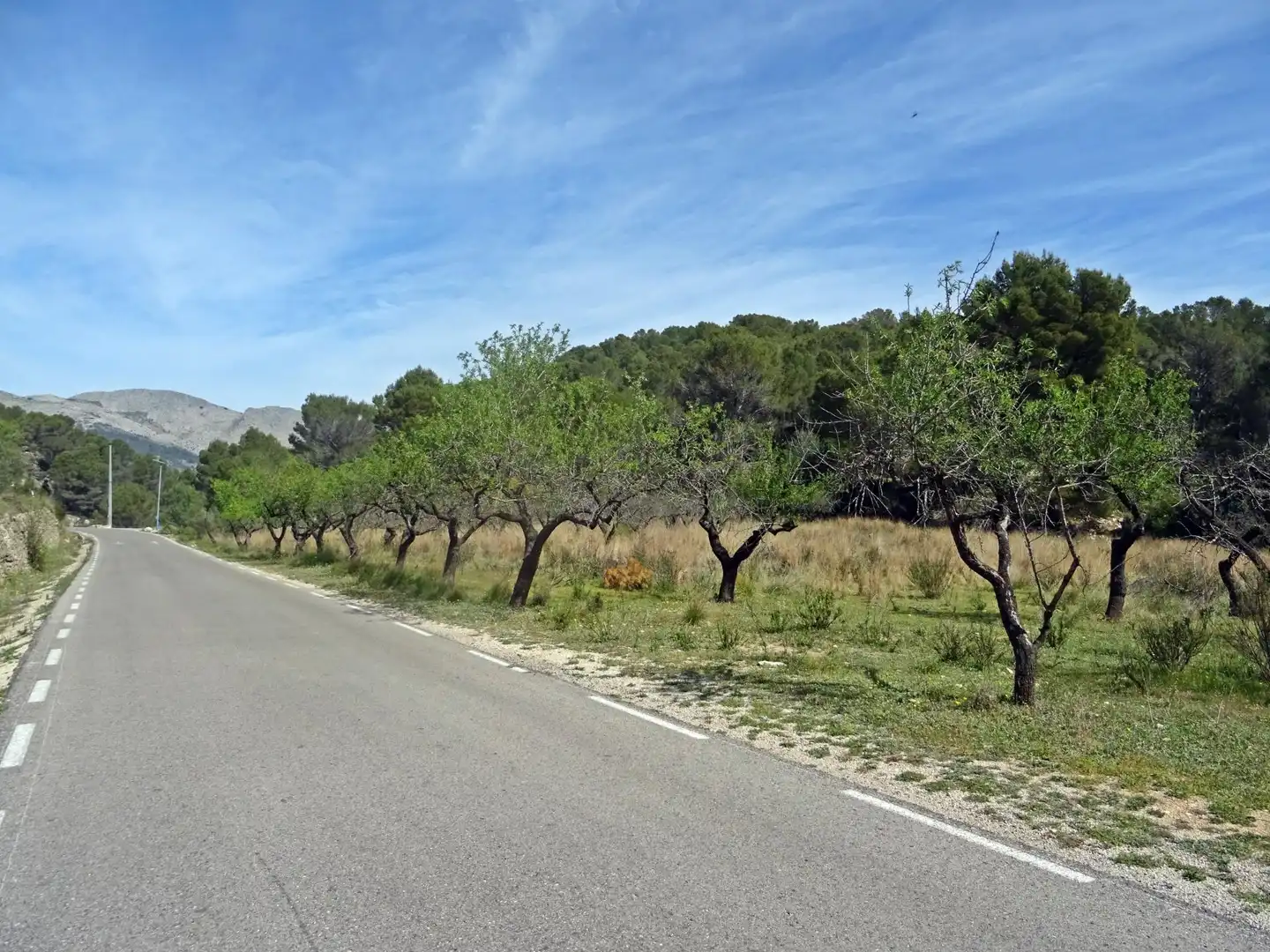 Terreny residencial en venda a Murla, imagen 10