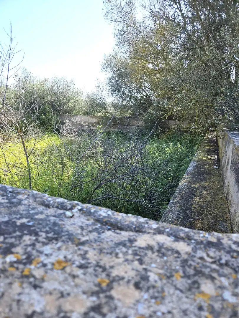 Land for sale in  Palma de Mallorca