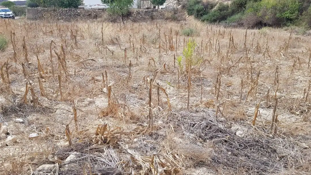 Terrenys i solars en venda a Sorbas, imagen 2