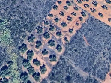 Rural land for sale in Santisteban del Puerto