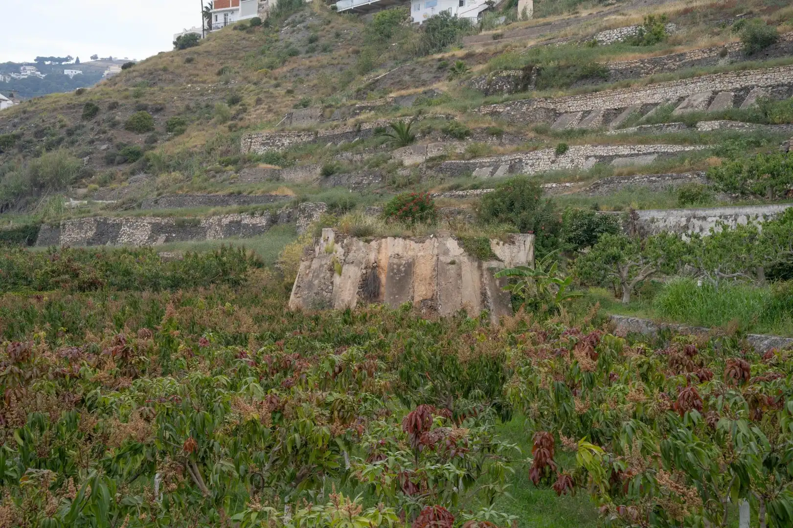 Terreni e lotti in vendita a CARRETERA MALAGA (CAL), imagen 8