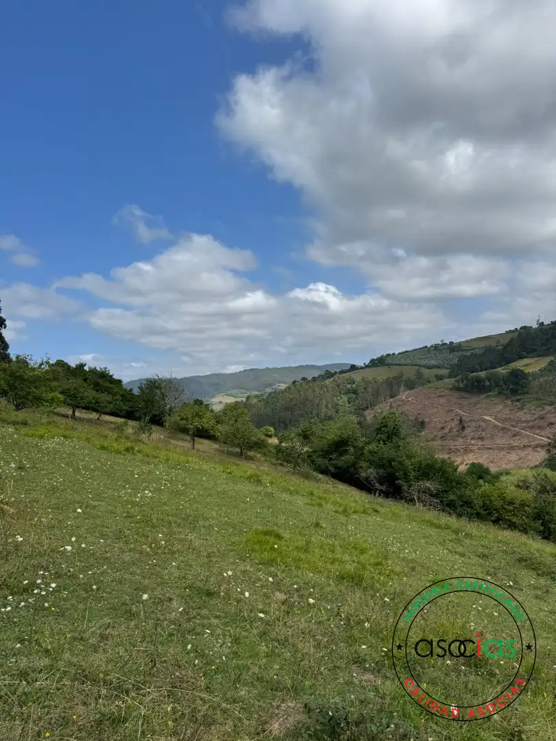 Terreny en venda en Villaviciosa