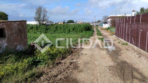 Photo 4 of Land for sale in La Jara, Cádiz
