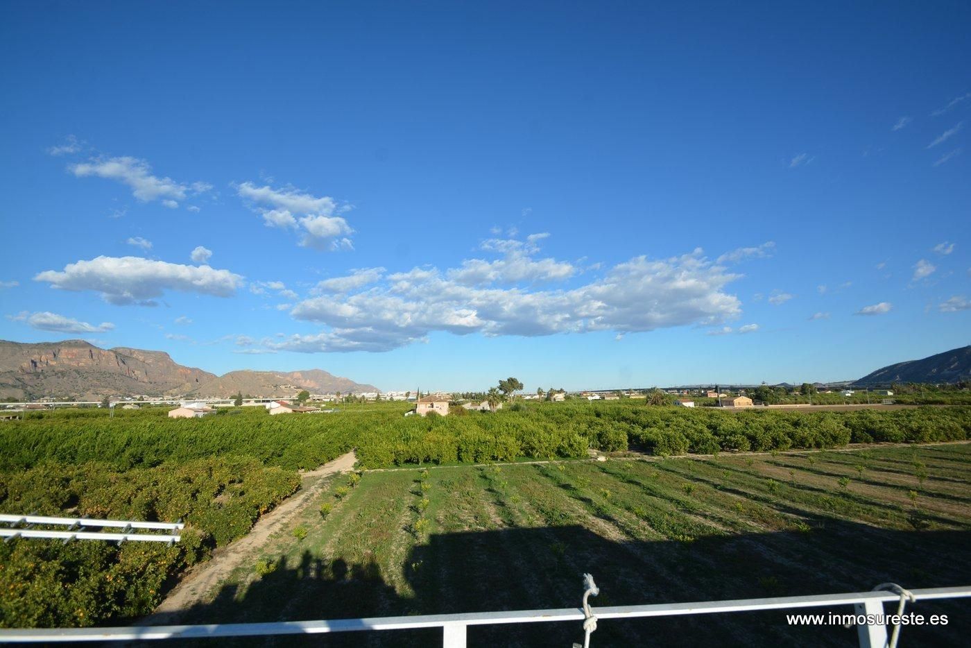 Exterior view of Country house for sale in Orihuela  with Terrace