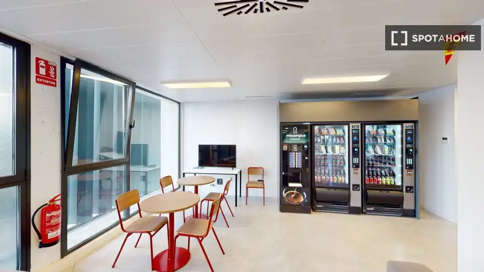 Habitación en Haygon - Universidad