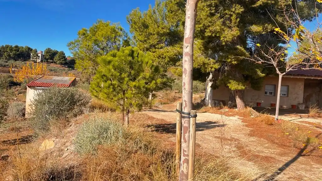 Terreny rústic en venda a Carrer del Dimecres, imagen 34