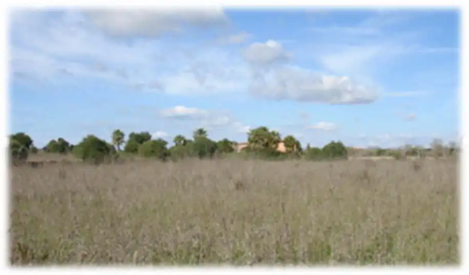 Terreno en venta en Llucmajor
