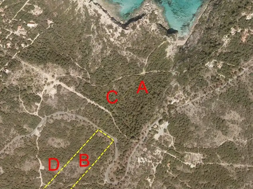 Terreno rustico in vendita a PM-820 14, imagen 4