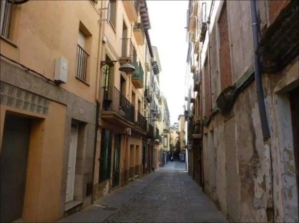 Vista exterior de Piso en venta en Olot