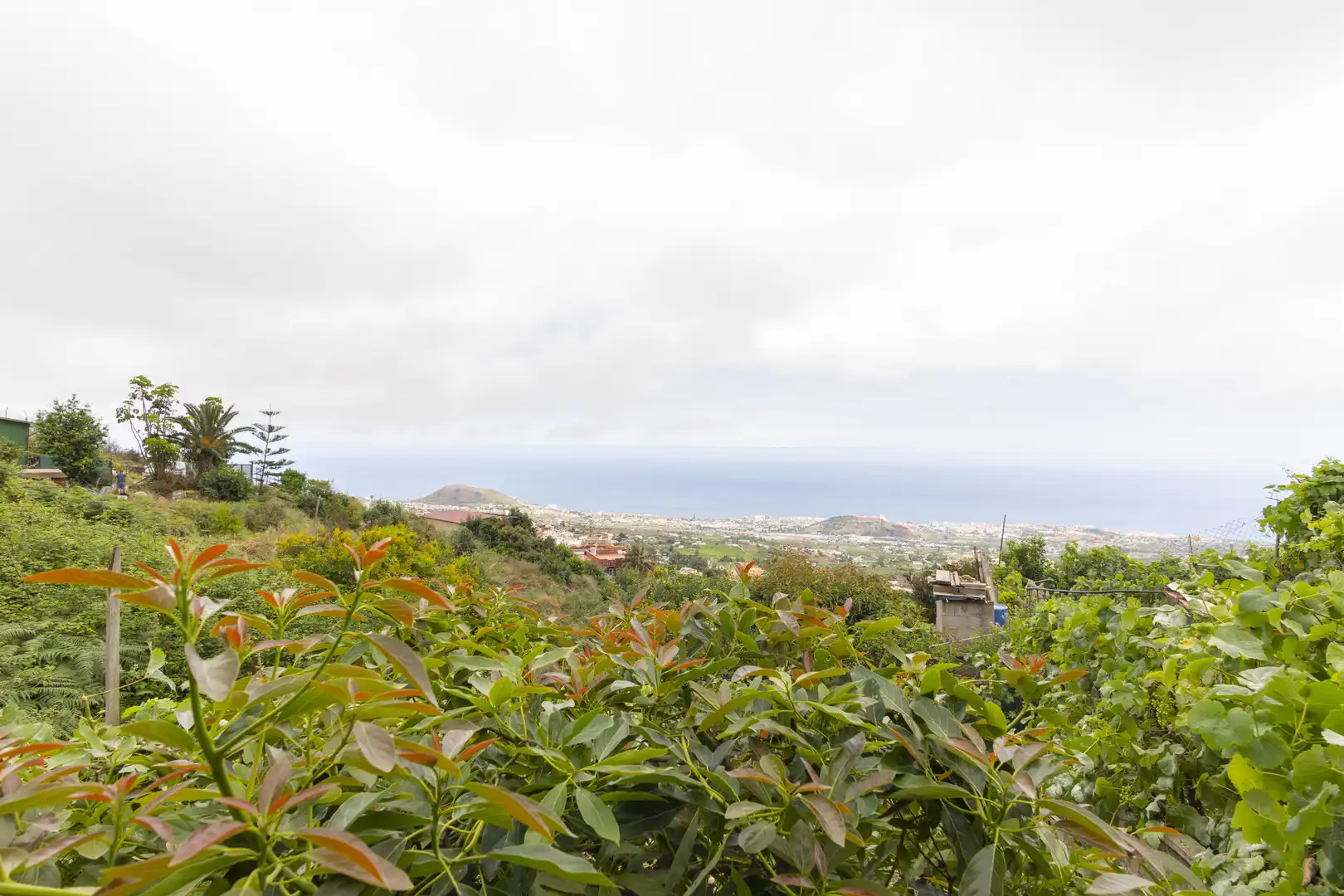 Finca rústica en venta en La Orotava con Jardín privado, Terraza y Trastero