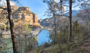 Außenansicht von Grundstücke zum verkauf in Margalef
