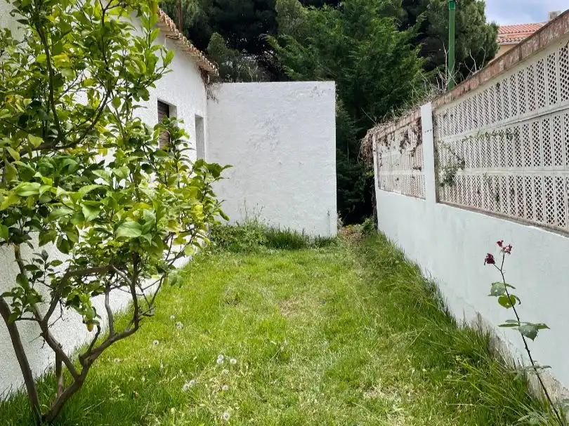 Maison avec jardin à louer à Carrer Josep Amat 21, imagen 33