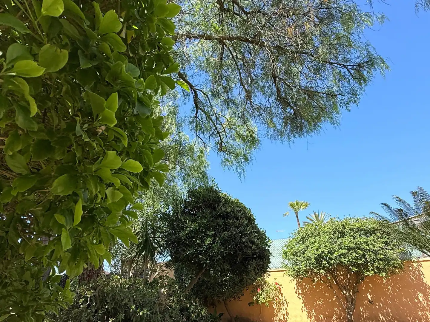 Jardí de Casa o xalet en venda en Chiclana de la Frontera